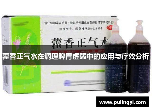 藿香正气水在调理脾胃虚弱中的应用与疗效分析