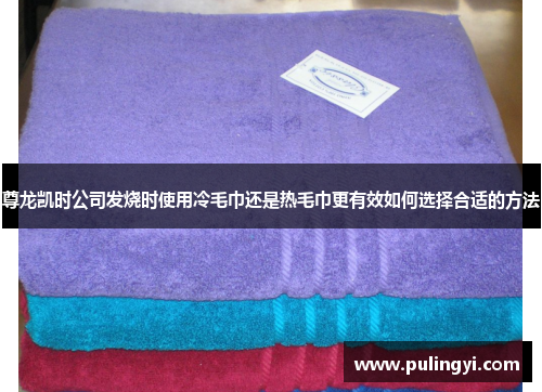 尊龙凯时公司发烧时使用冷毛巾还是热毛巾更有效如何选择合适的方法