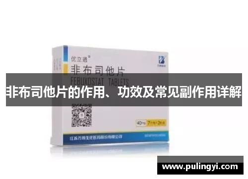 非布司他片的作用、功效及常见副作用详解